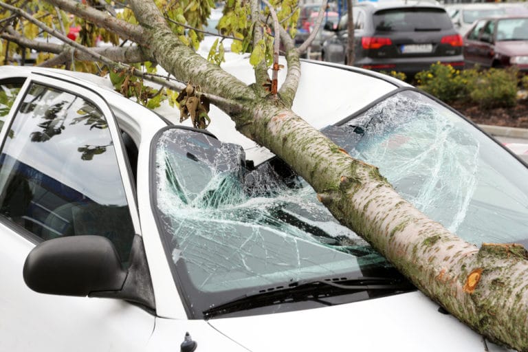 Baum Fällt Auf Auto Versicherung