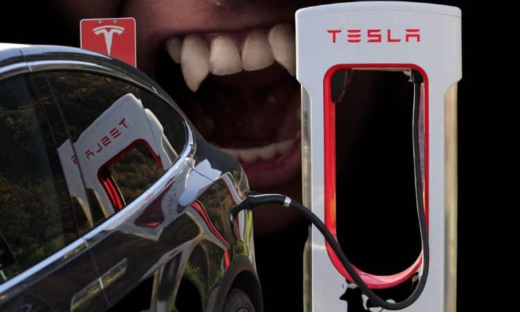 6 Tipps, wie Sie die Lebensdauer Ihrer Tesla-Batterie verlängern können